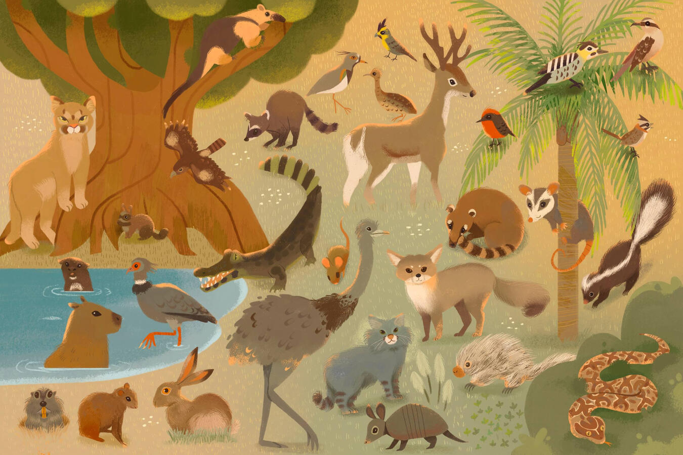 Meadows from Uruguay Wildlife